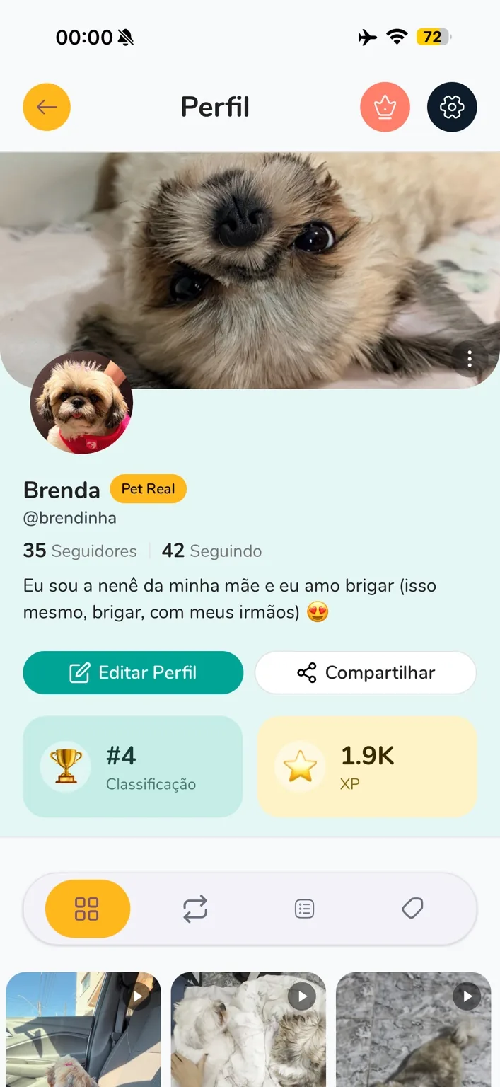 Perfil da Brenda na Zuuzi