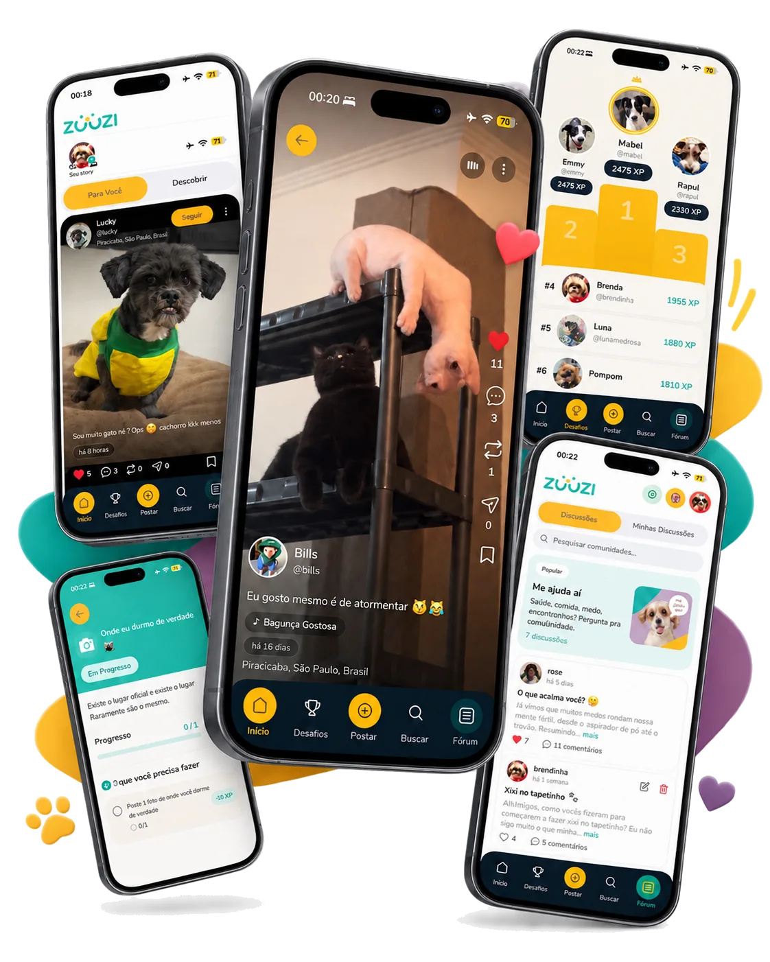 Zuuzi com feed, vídeos, desafios, ranking e fórum