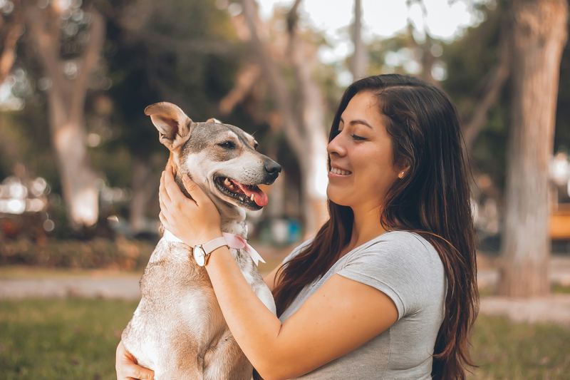 🐶  Cada cachorro tem um sorriso único